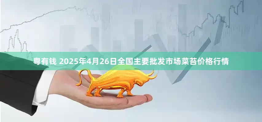 粤有钱 2025年4月26日全国主要批发市场菜苔价格行情