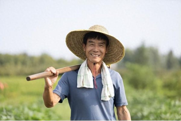 加配网 夏补钾，体不乏？提醒：3类人群需重视，4种食物可多吃