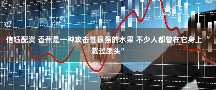 信钰配资 香蕉是一种攻击性很强的水果 不少人都曾在它身上 “栽过跟头”